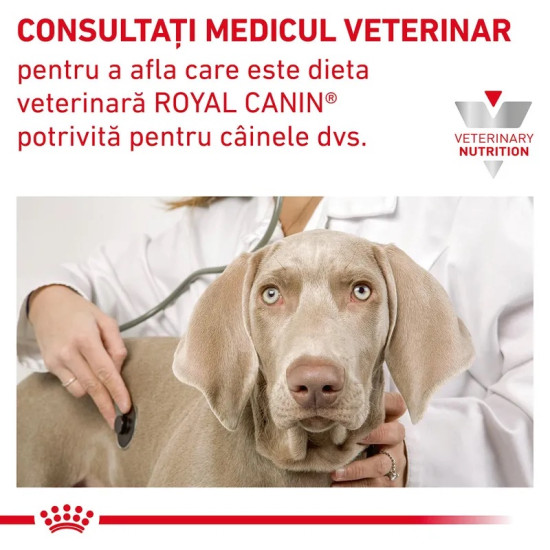 Royal Canin Veterinary Canine Gastrointestinal High Fibre – Hrană Uscată pentru Câini cu Constipație sau Tulburări de Tranzit Intestinal, 7,5 kg